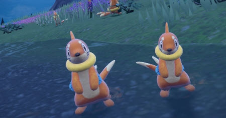 Wild Pokémon, in Pokémon Scarlet and Violet, Image via: The Pokémon Company